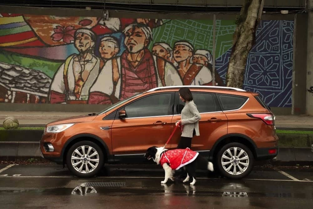 寵物乘車安全知多少!開車出遊喜迎狗年、七大攻略安頓毛小孩 3 1518430361 984bf2db36147bcd2aac9c076e6f7bfb