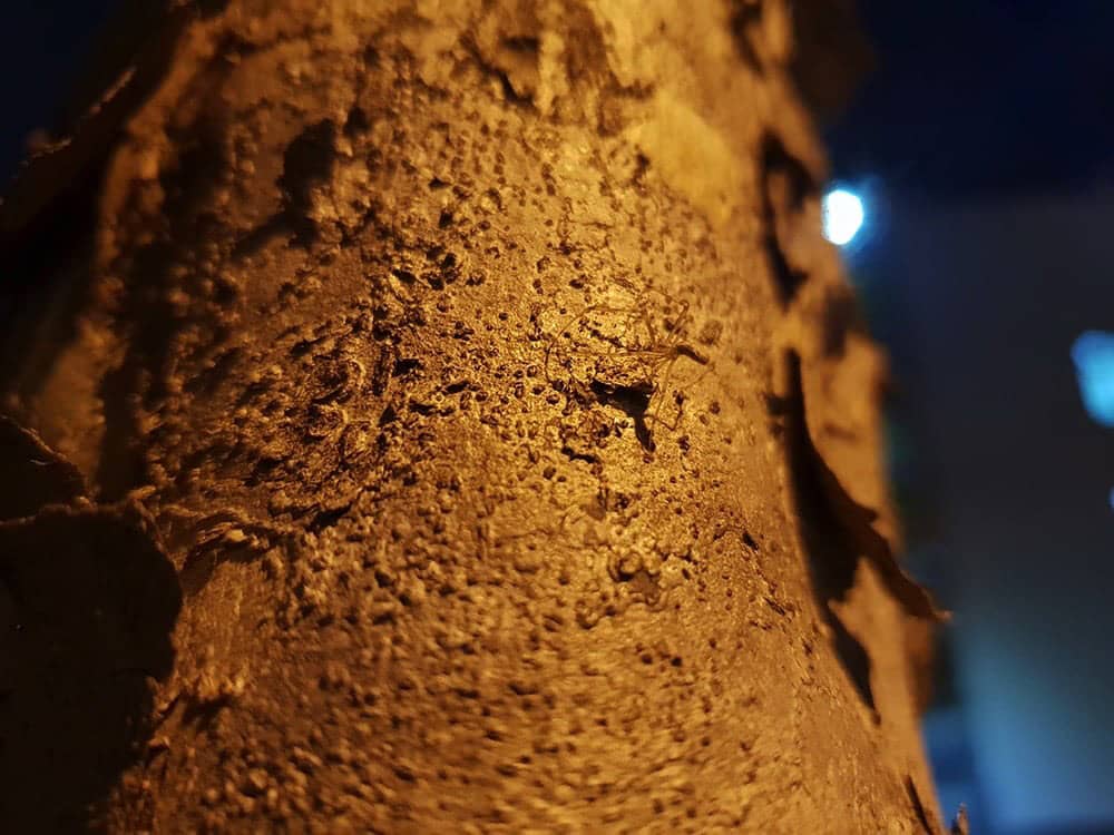 上山下水夜拍動態都難不倒它 Samsung Galaxy S9+旅拍最佳幫手 64 1525511890 5d397da3abc896b6a07246c4e1bfcd37