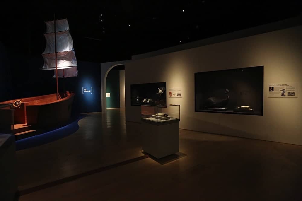 《大英自然史博物館展》嚴選227件珍品首度登台展覽 2 1526363836 d1802f9da1806ed443466de40d4ff61b