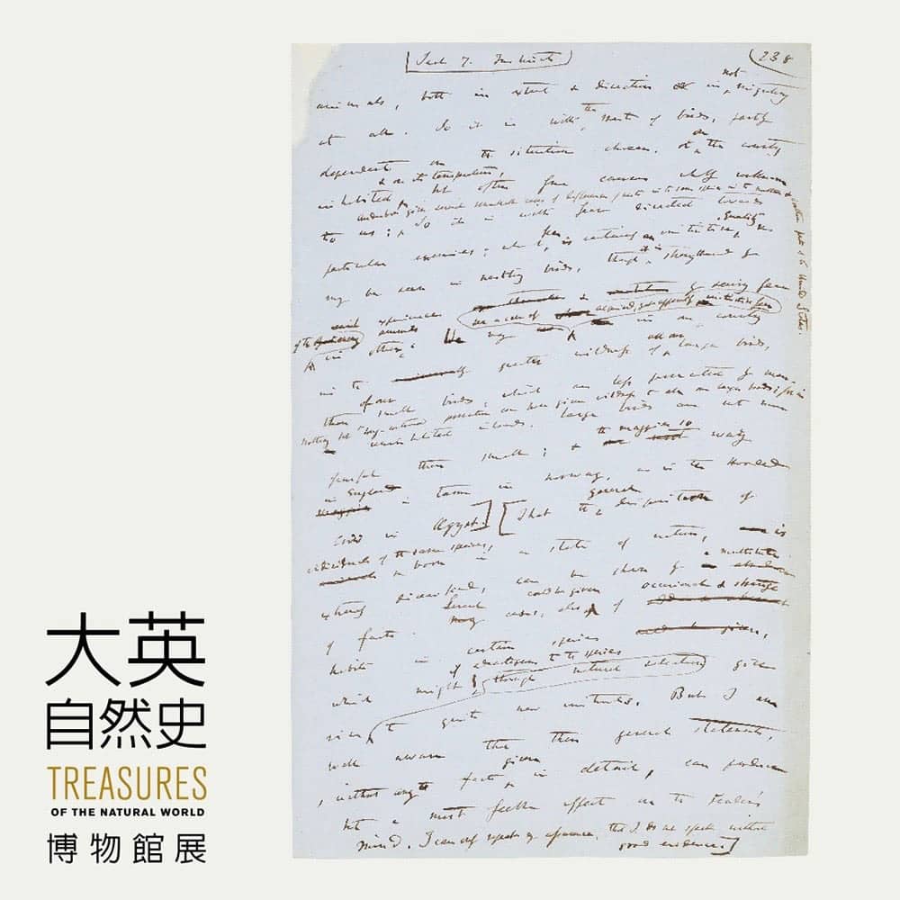 《大英自然史博物館展》嚴選227件珍品首度登台展覽 11 1526363845 0859f2af3deb79e4e69631375789d8c9