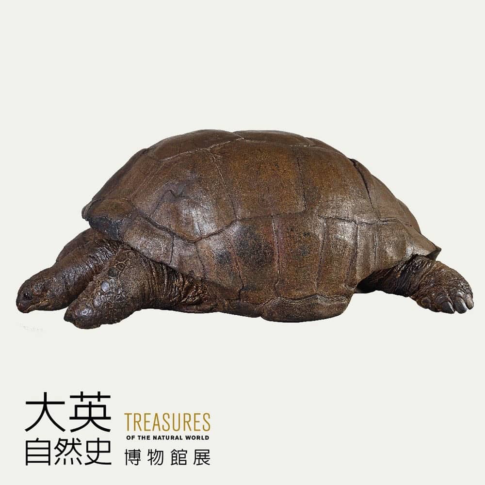 《大英自然史博物館展》嚴選227件珍品首度登台展覽 14 1526365444 089a7debb2c358436e762999fa770c0f