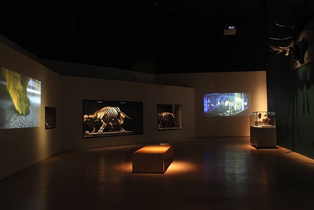 《大英自然史博物館展》嚴選227件珍品首度登台展覽 5 1526365473 31cfa5efcf0c782cebf4fe133524cb7a