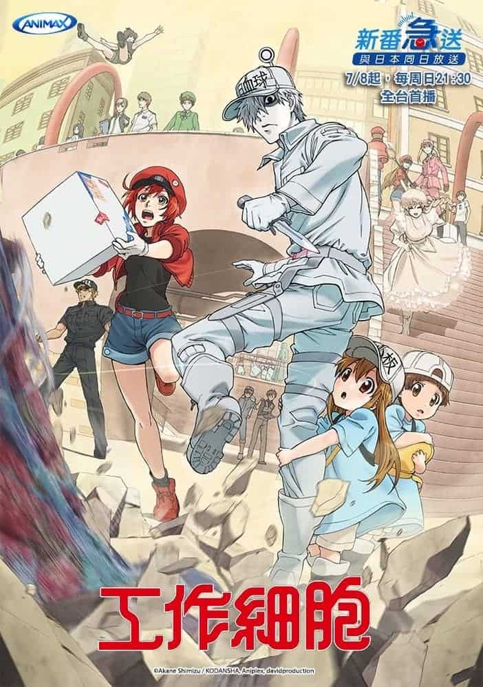 動漫《工作細胞》火紅熱播中!ANIMAX八月再同步日本播出《魔法律事務所》 1 1533372761 42ad064acb0060815a0f0ea1c3410531