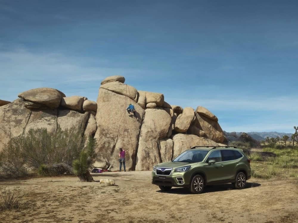 全新Subaru Forester上市首月接單破500輛、吉祥月購車優惠同步開跑! 2 1536050519 df45e8e990ef7e3b39025df4a8b2a008