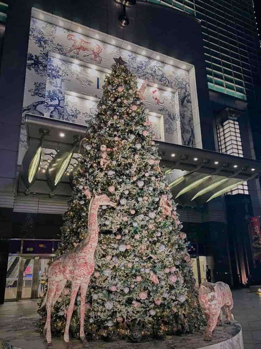 四大IG人氣攝影師教你用iPhone XR拍出超高節日氛圍的耶誕跨年照片 13 1545558868 a017e0caf9119cc47e6729799c0161ba