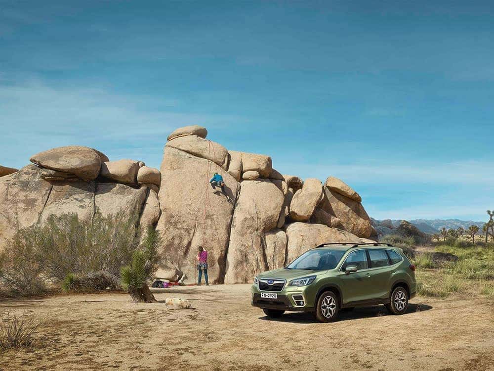Subaru連續十年銷售正成長、新春購車優惠Forester 99.8萬起! 2 1547040490 9aec23cab9cce2a78c273eea52674756