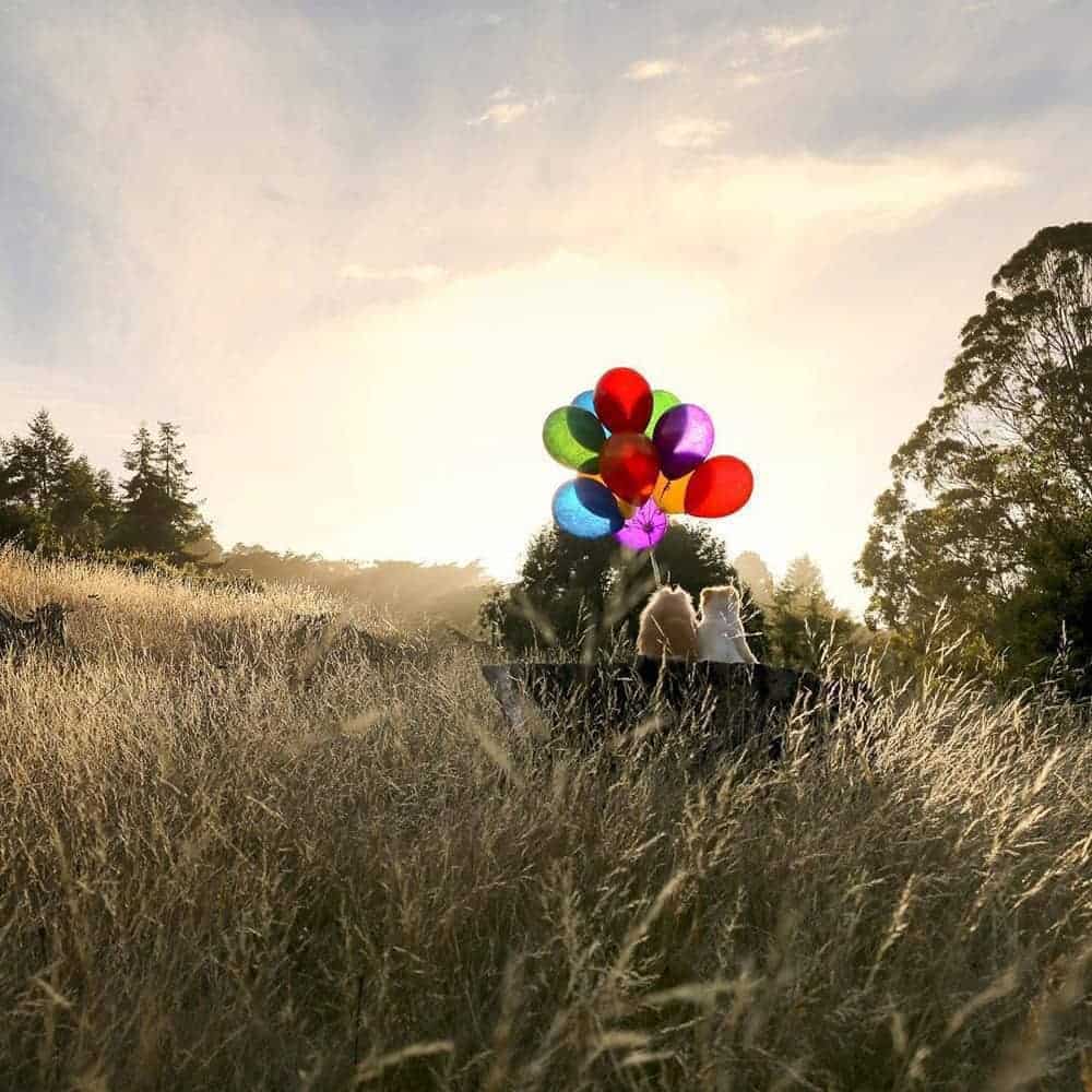 1547915056 bdf1de4b43b99a9112dd1e45102da44f
