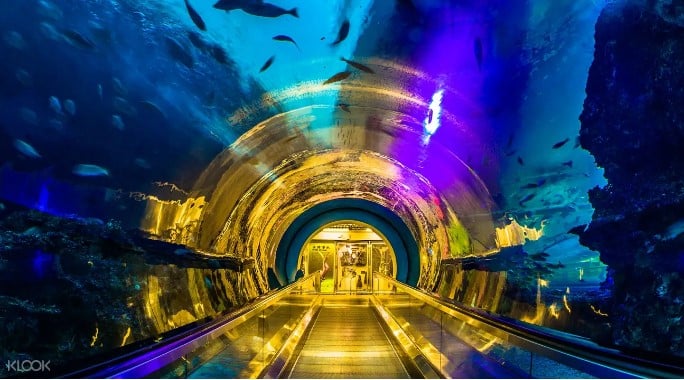 KLOOK公布今夏最受歡迎親子行程 全家歡樂旅程參考 2 1560204497 7d6902b8261225ea568764c3258a67fb
