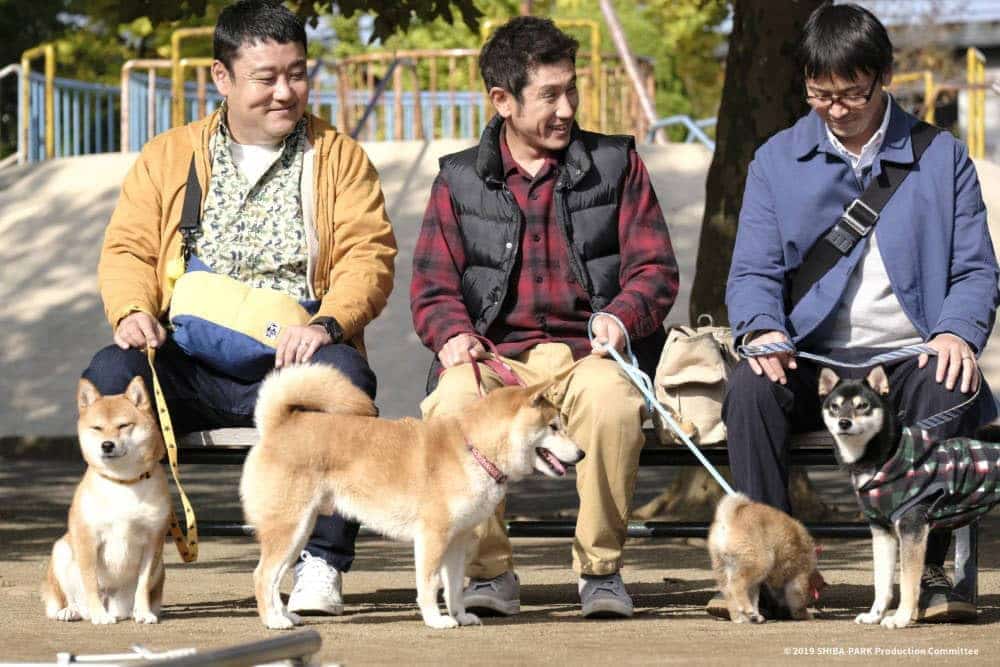 萌寵電影《柴公園》柴犬就是我的全部 10/25無汪不利 2 1569035115 ee28f3e0b011e9a6ce4670e5929e4165