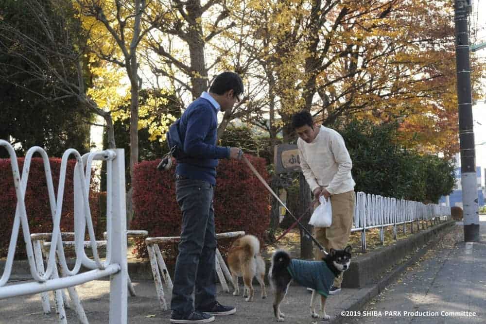 萌寵電影《柴公園》柴犬就是我的全部 10/25無汪不利 6 1569035234 a34305b9e09a7bd846a548b1db4b74ff