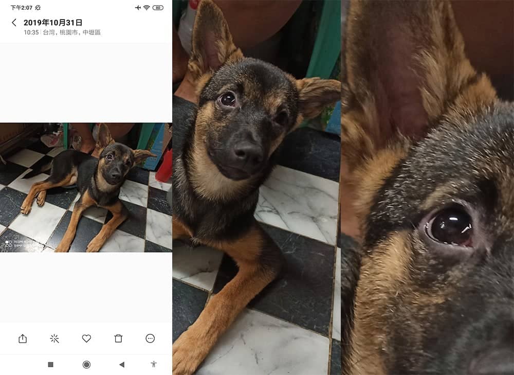 拍照極猛全能型6400萬像素四鏡頭手機紅米Redmi Note 8 Pro超完整評測 39 1572676224 2ea92ee2e04fc2bdda7ecac523f8fce1