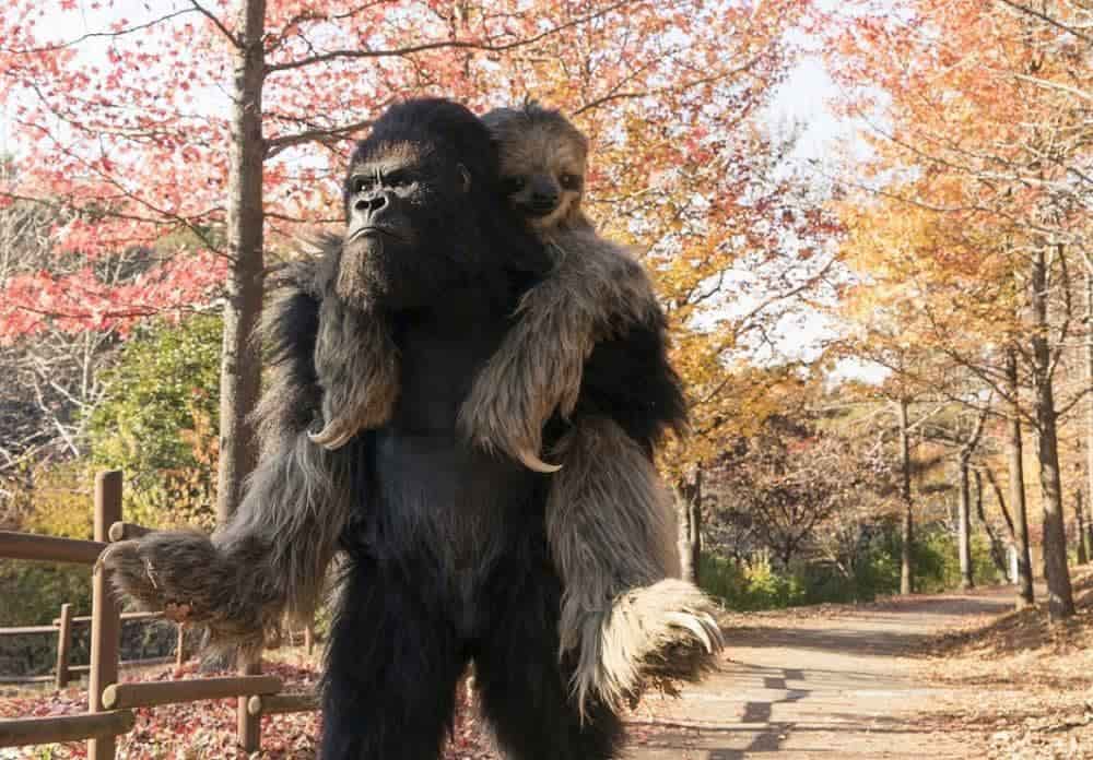沒有動物的動物園!?《超"人"氣動物園》台灣觀眾笑出眼淚「場面完全失控!」 5 1581649714 ace9a8b15a5f076b50597537674b583c