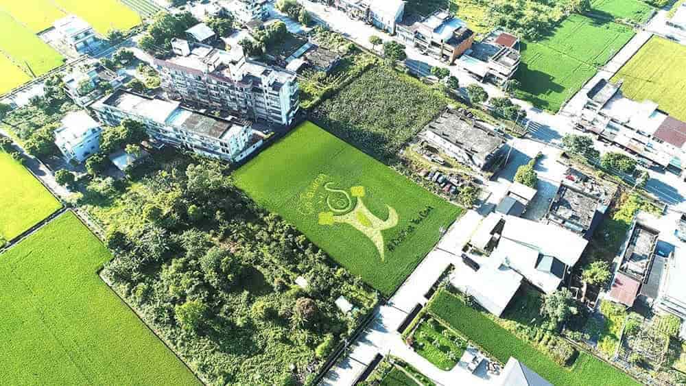 三星電子為台灣加油!星關懷稻田認養計畫邁入第五年、家扶學童親繪宜蘭最美地景 4 1591853131 c3a84ee958e518066c1195e0e4b962e3