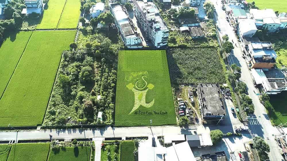 三星電子為台灣加油!星關懷稻田認養計畫邁入第五年、家扶學童親繪宜蘭最美地景 1 1591853137 5ecc61cd79abdf939ca9b021810aa5fb