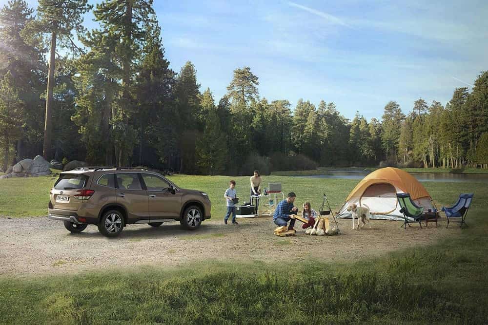 Subaru Forester好評優惠再延續、7月購車享首年低月付8,888元! 1 1593604299 8d4dfcc462c909e032d9e78cfa0ff18e