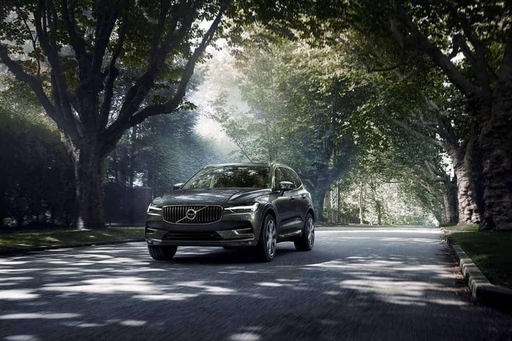Volvo再獲英國 《Auto Trade》大獎肯定!XC60贏得「最佳家庭車款」、 XC90奪下「最佳七人座」 1 1601987441 5b1b65f2f044fa6f05bae493b0667e23