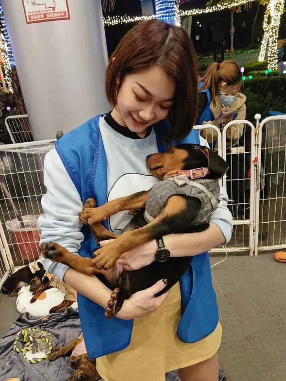 挺進動物界!17LIVE加入動物保育貨櫃藝術展、邀大眾一起關心「落難野孩兒」 2 1620215710 2ceb7db96349289e3868906c0569484f