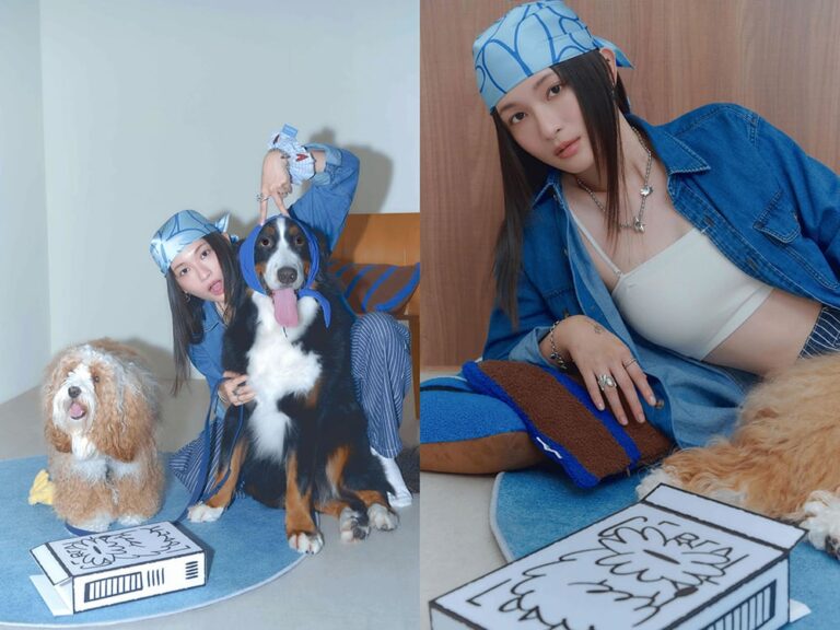 與毛孩一起戴！vacanza攜韓國藝術家Haydonna推出系列飾品、周邊