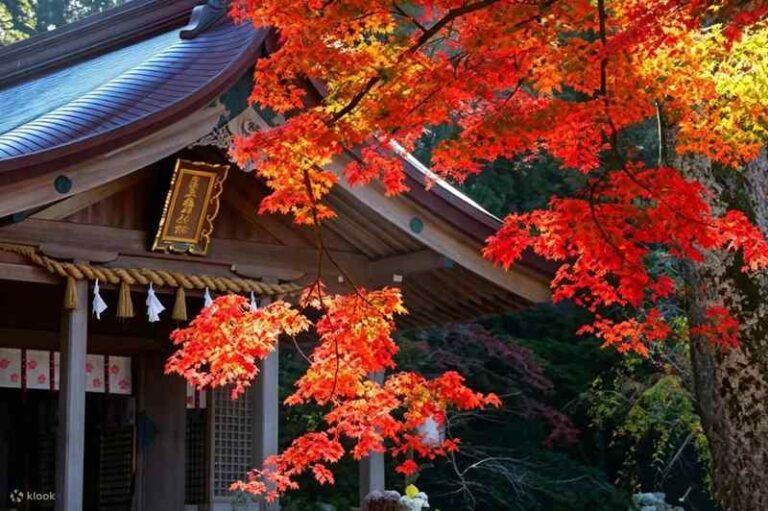 Klook推日本賞楓早鳥8折與彈性行程 九州旅遊最高現省5,300元